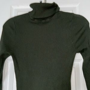 Turtlenecks midi dress